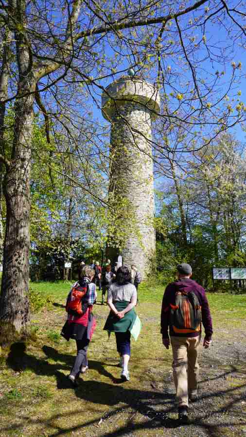 Der Wiedeturm